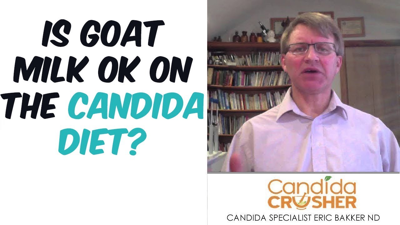 Goat Milk And The Candida Crusher Diet Your