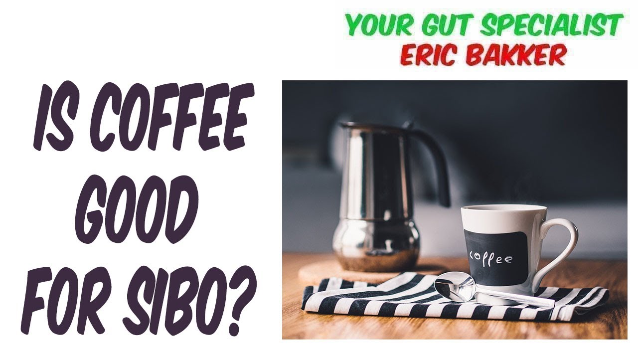 Is Coffee Good for SIBO? Your Source for Candida Cleanse & Diet Information