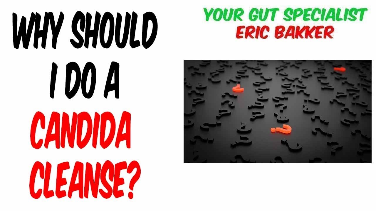 Stool Testing And Candida Cleanse: Why You Need Both - Candida Diet Stool Testing And Candida Cleanse: Why You Need Both - Candida Diet