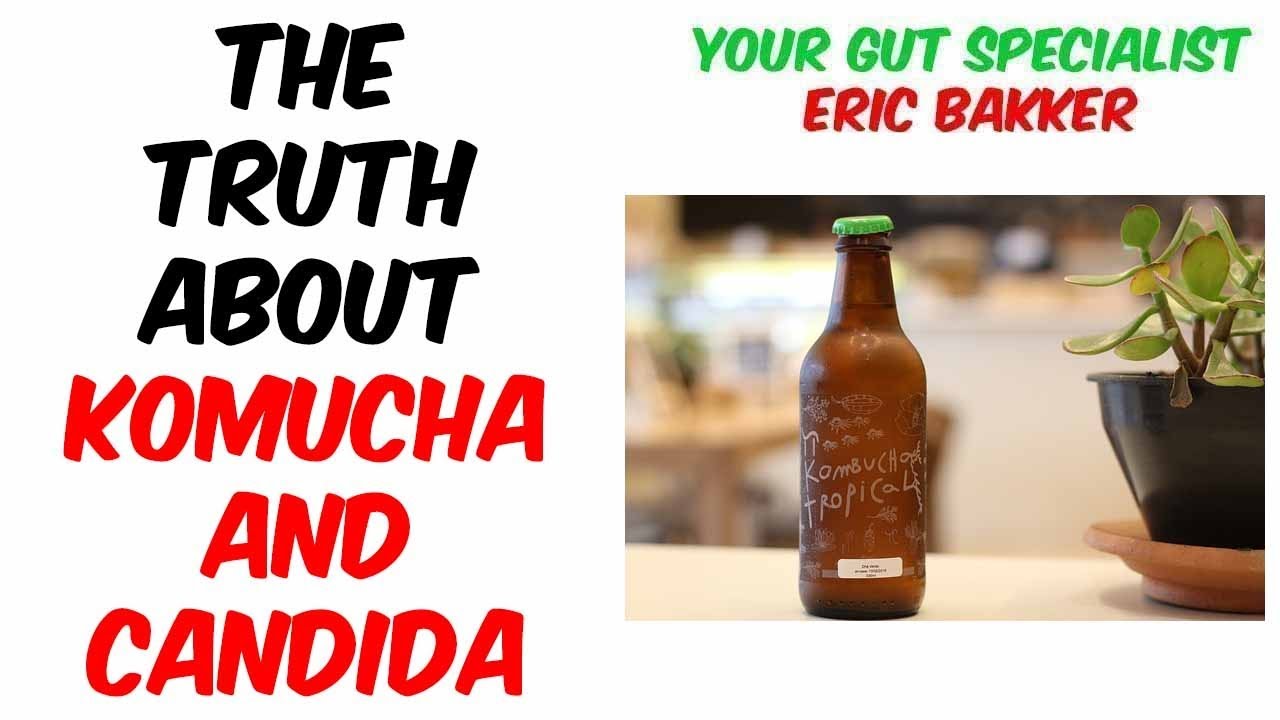 Adding Kombucha To The Candida Diet What You Need To Know