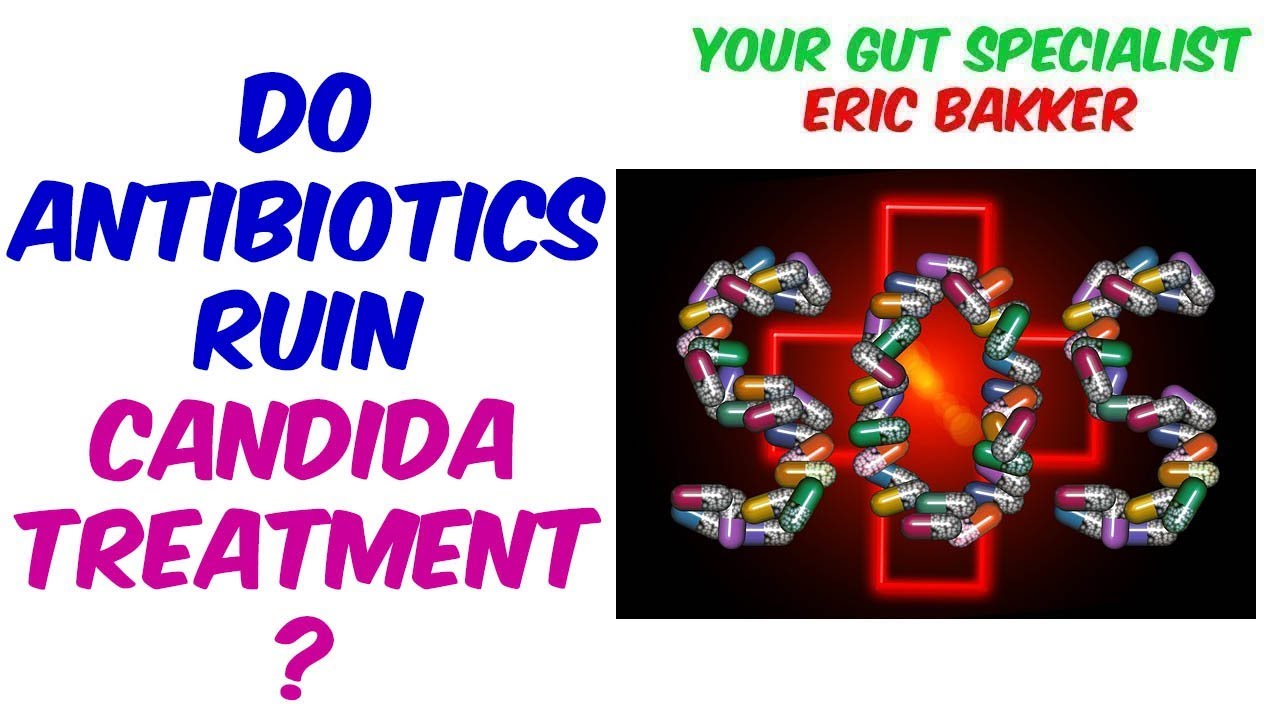 How To Regain Gut Health After Taking Antibiotics