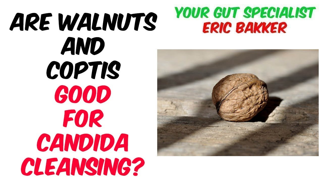 Using Black Walnut And Coptis Chinesis For Candida Cleansing