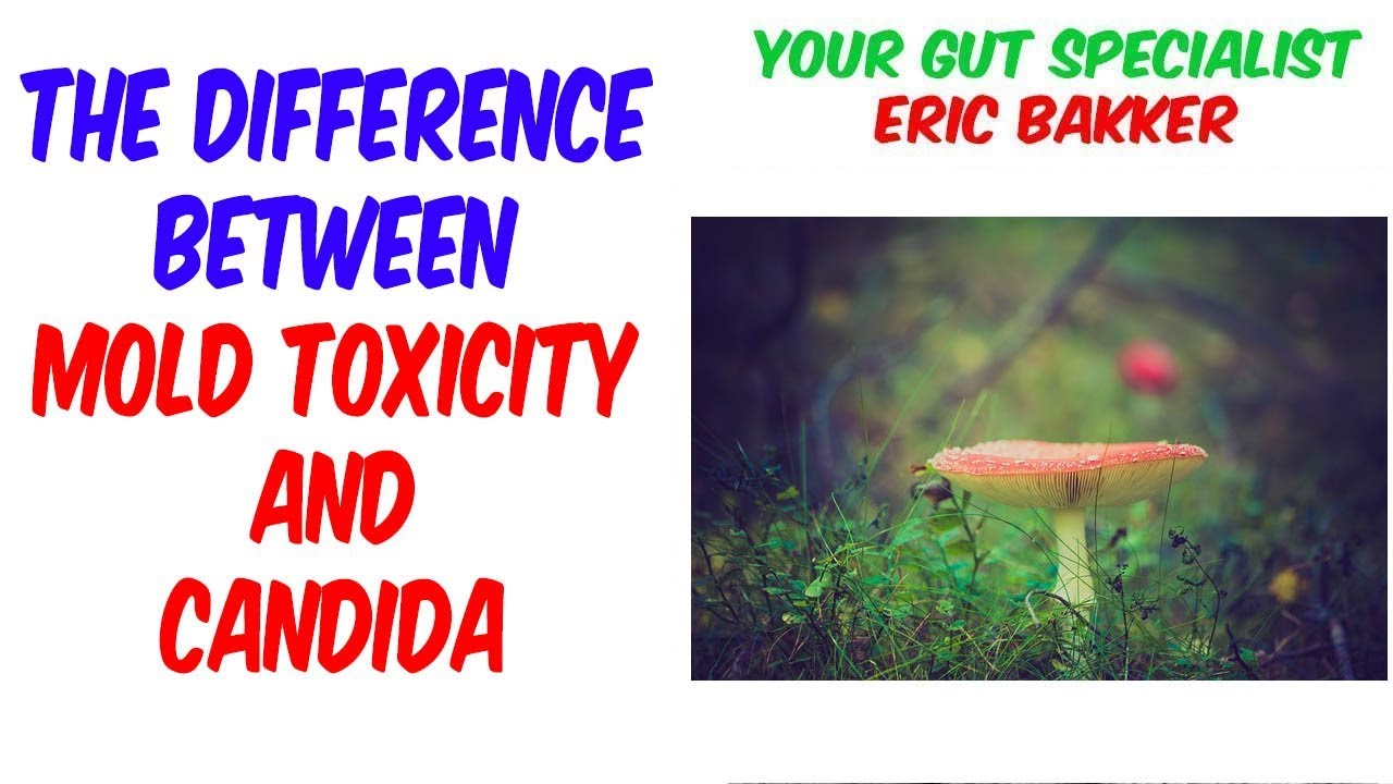 How To Differentiate Between Candida And Mold Toxicity YeastInfection
