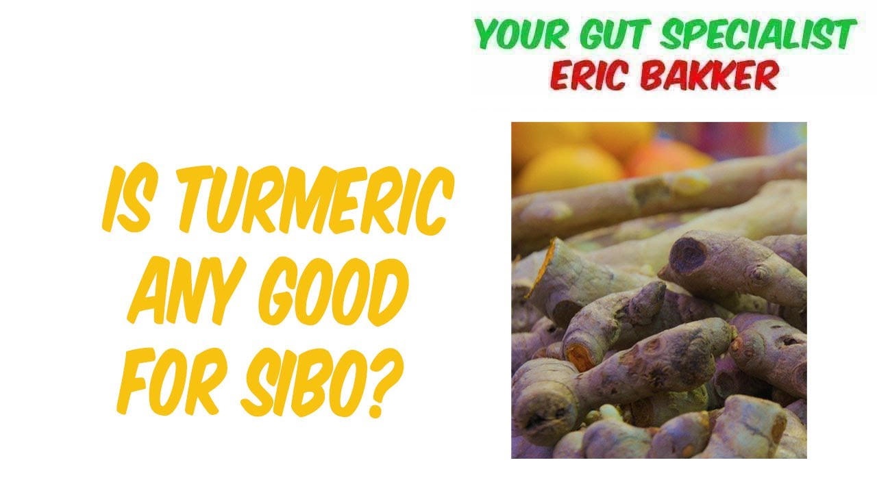 Is Turmeric Any Good For SIBO Your Source for
