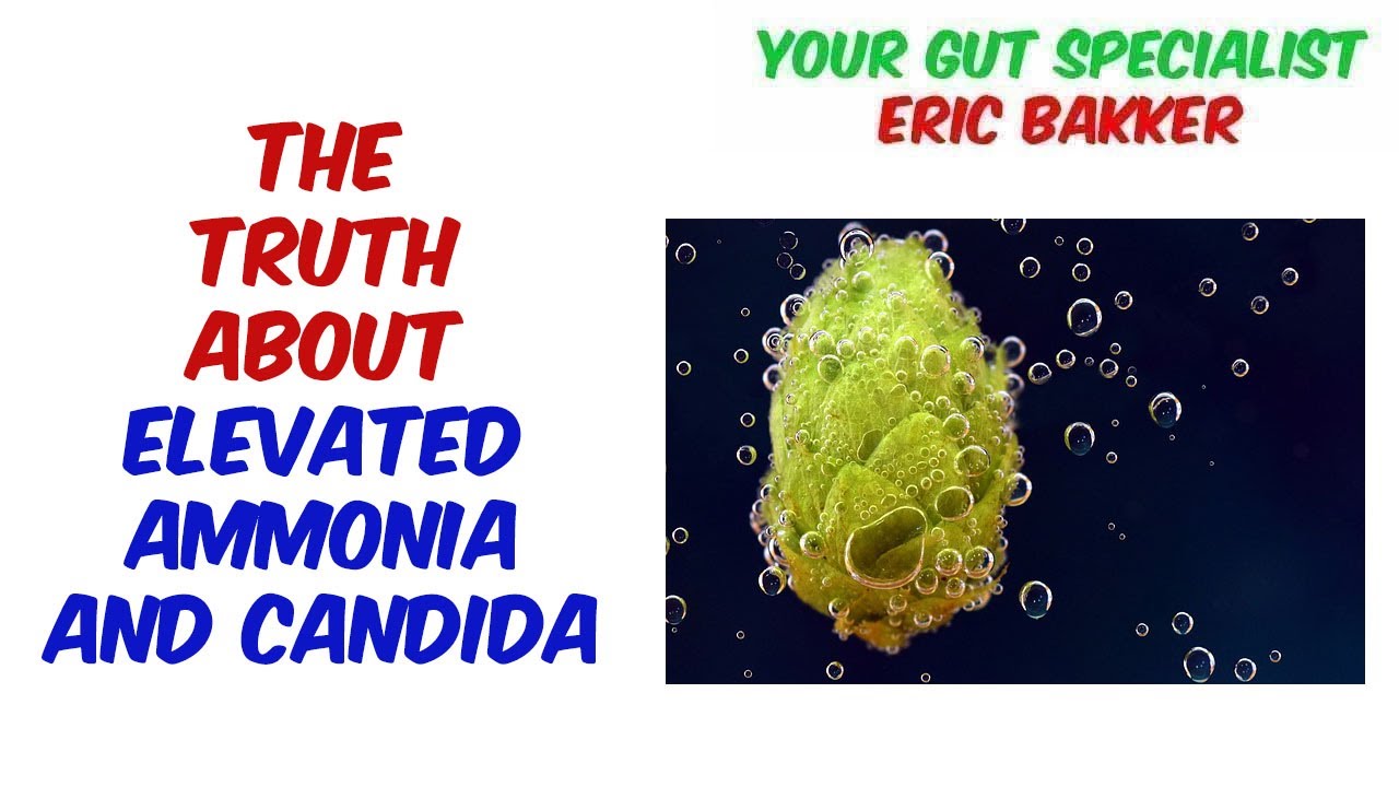 Ammonia And Candida What Is The Connection?
