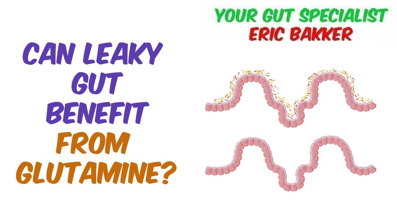 Glutamine And Gut Health Your Source for Candida Cleanse & Diet Information