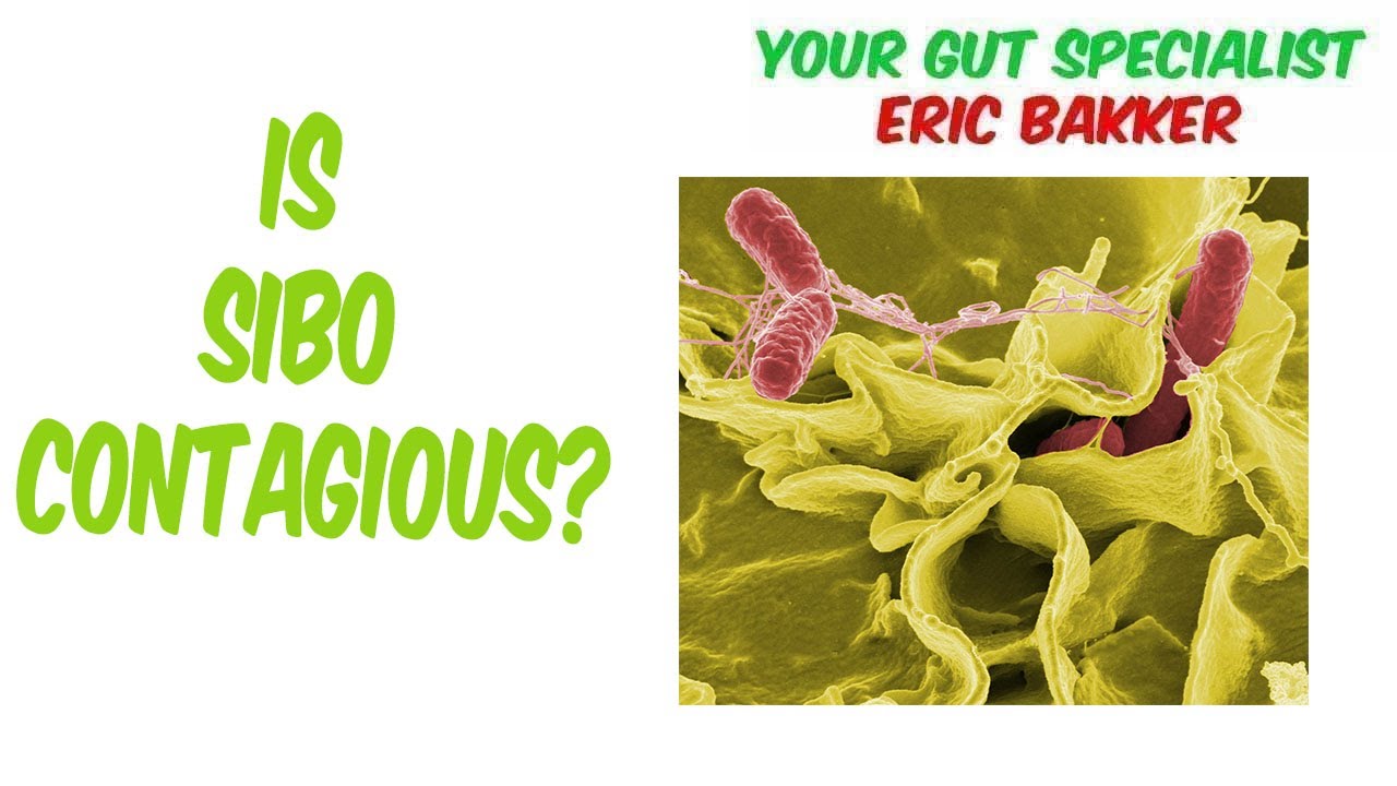 Can I Catch SIBO From Someone Else? Your Source