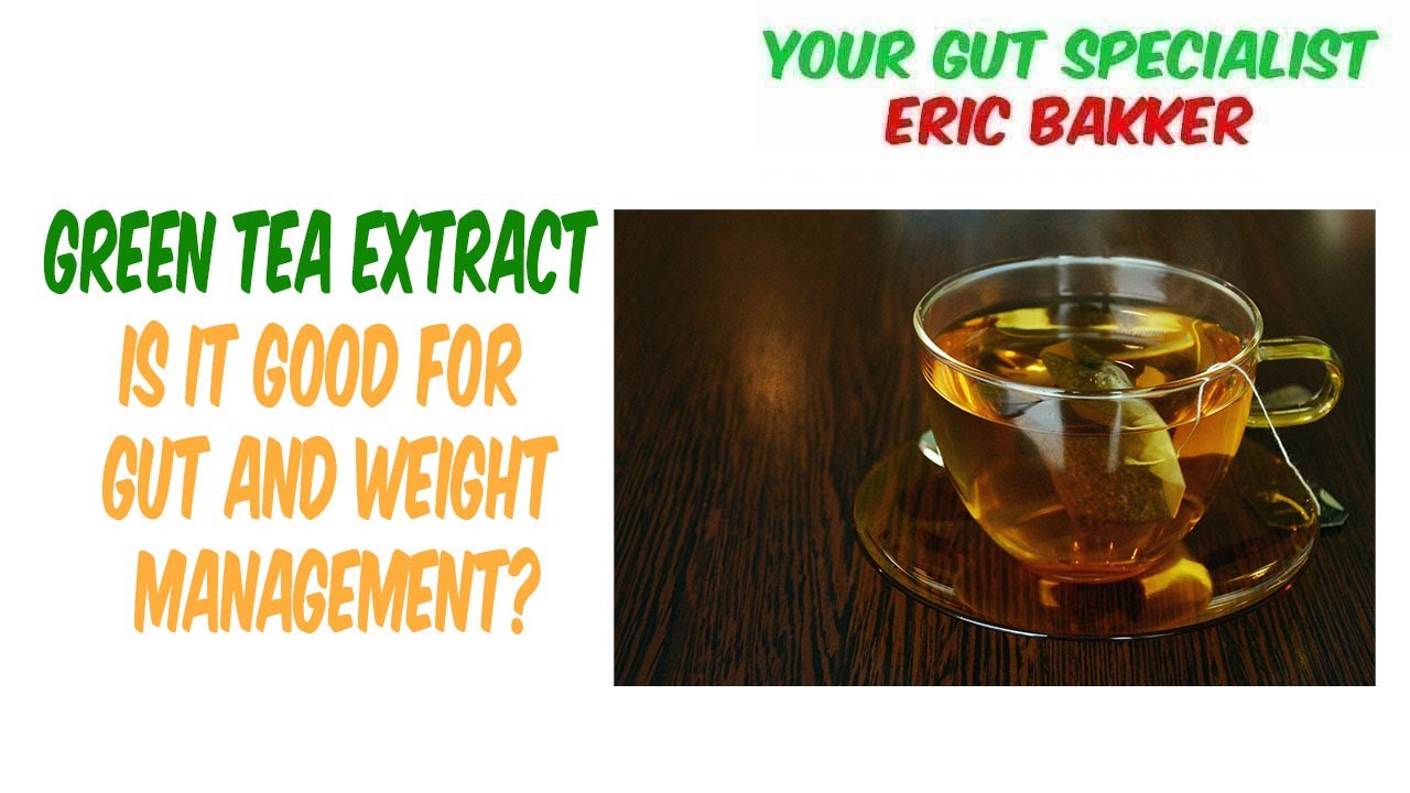 Green Tea Extract Is It Good For The Gut And Good For Your Weight? Your