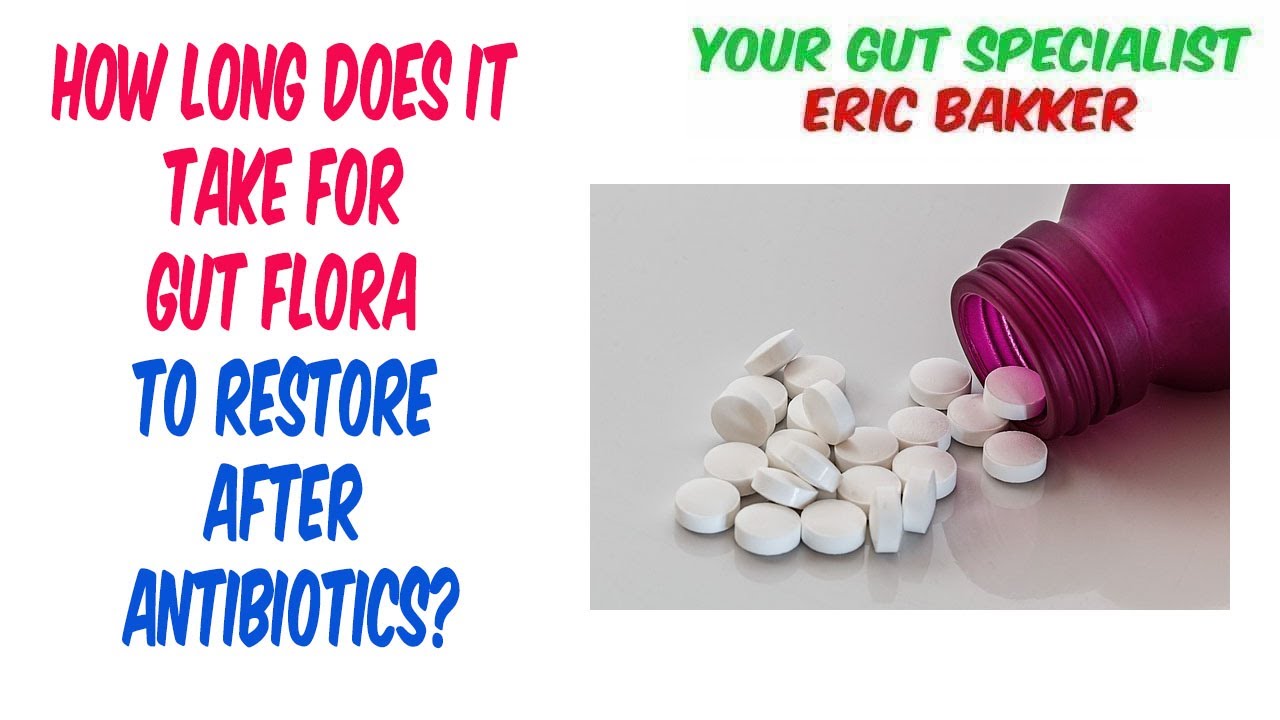 Restoring Your Gut After Antibiotics Ten Steps You Need To Take