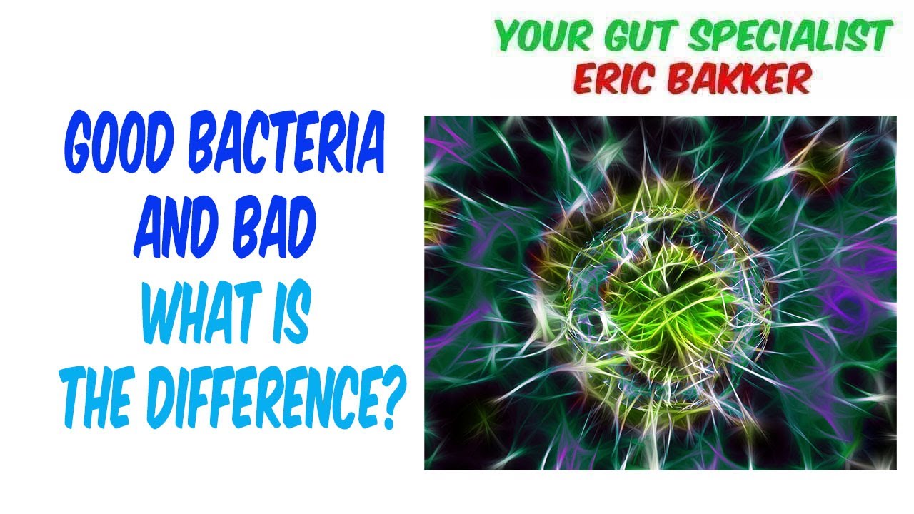 Why You Should Keep Your Gut Flora Balanced - Candida Diet, Cleanse